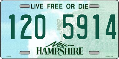 NH license plate 1205914