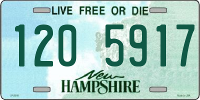 NH license plate 1205917
