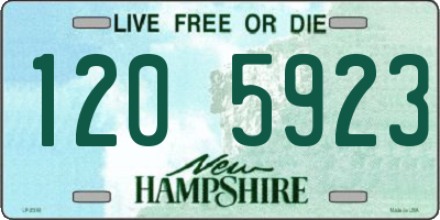 NH license plate 1205923
