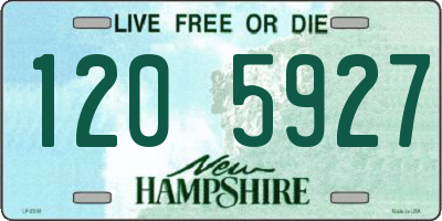 NH license plate 1205927