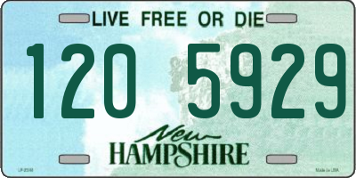NH license plate 1205929