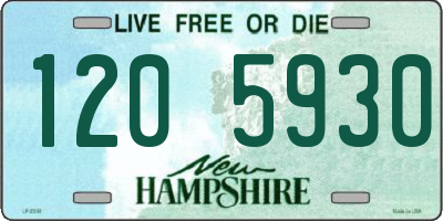 NH license plate 1205930