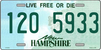 NH license plate 1205933