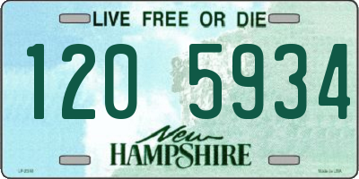 NH license plate 1205934
