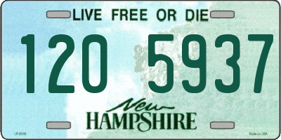 NH license plate 1205937