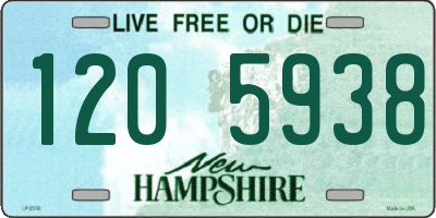NH license plate 1205938