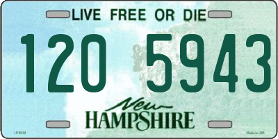 NH license plate 1205943
