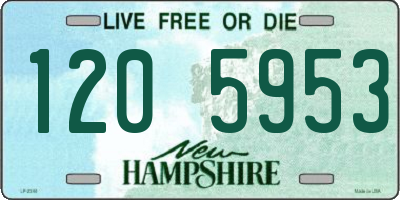 NH license plate 1205953
