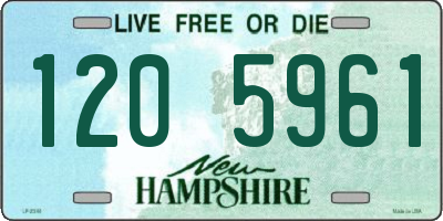 NH license plate 1205961