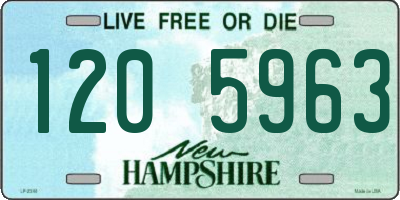 NH license plate 1205963