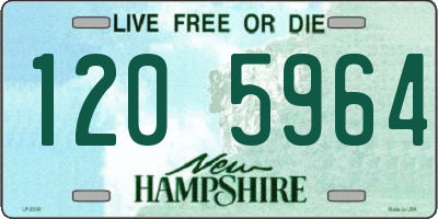 NH license plate 1205964