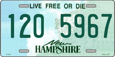 NH license plate 1205967