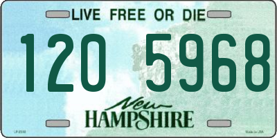 NH license plate 1205968