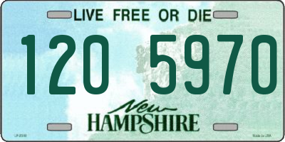 NH license plate 1205970