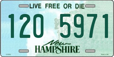 NH license plate 1205971