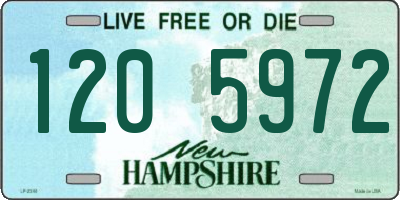 NH license plate 1205972
