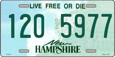 NH license plate 1205977
