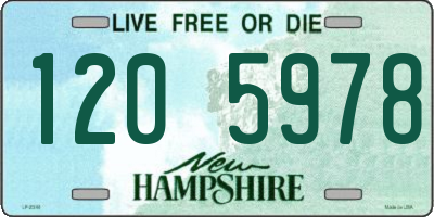 NH license plate 1205978