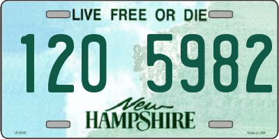 NH license plate 1205982