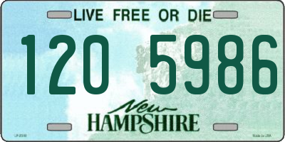 NH license plate 1205986