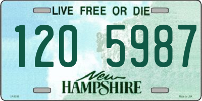 NH license plate 1205987
