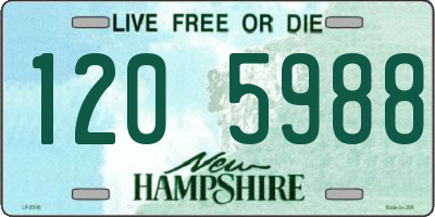 NH license plate 1205988