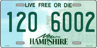 NH license plate 1206002