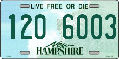 NH license plate 1206003