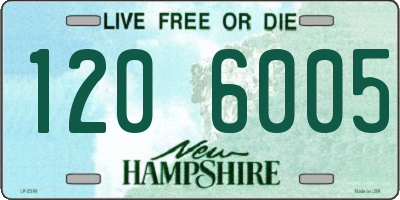 NH license plate 1206005