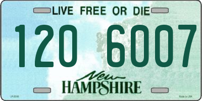 NH license plate 1206007
