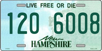 NH license plate 1206008