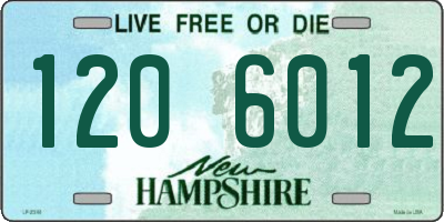 NH license plate 1206012