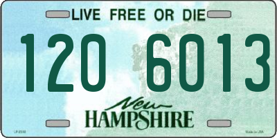 NH license plate 1206013