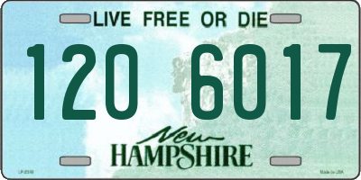 NH license plate 1206017