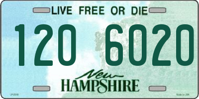 NH license plate 1206020