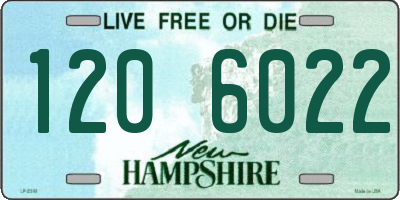 NH license plate 1206022