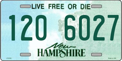 NH license plate 1206027