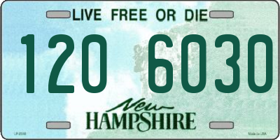 NH license plate 1206030