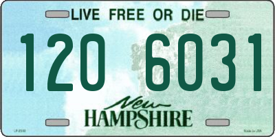 NH license plate 1206031