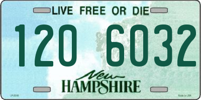 NH license plate 1206032