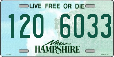 NH license plate 1206033