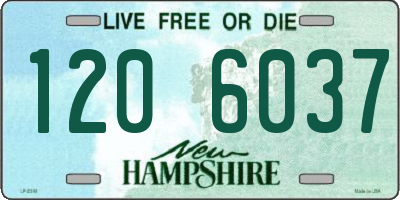 NH license plate 1206037