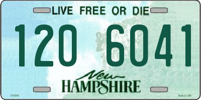 NH license plate 1206041