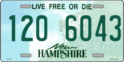 NH license plate 1206043