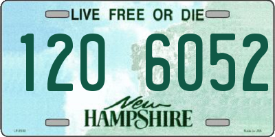 NH license plate 1206052