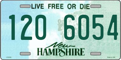 NH license plate 1206054