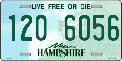 NH license plate 1206056
