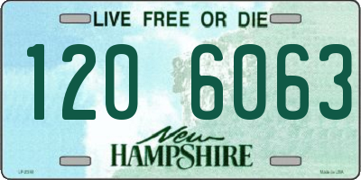NH license plate 1206063