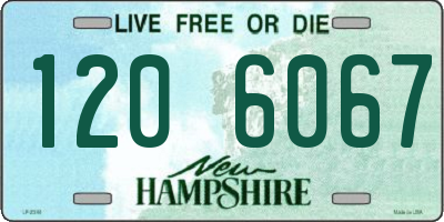 NH license plate 1206067