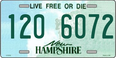 NH license plate 1206072